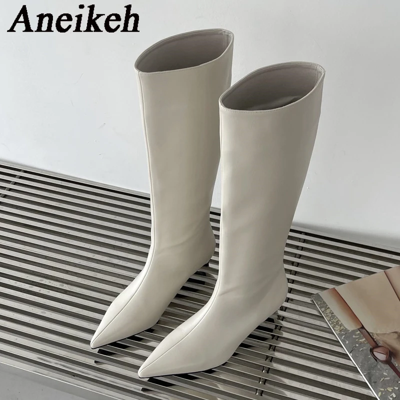 Aneikeh/2026, модные пикантные – обзор и цена Women'S Fashion Knee High Boots